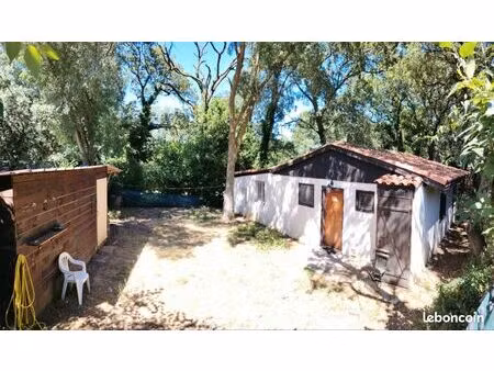maison sur terrain arboré