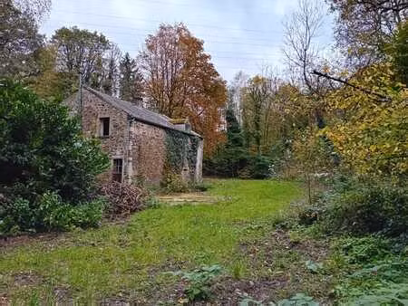 rare ! ancien moulin dans un cadre boise a boncelles