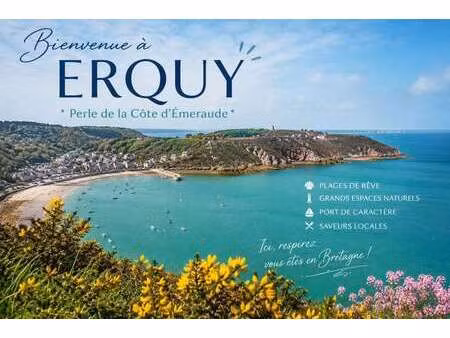 vente terrain à erquy (22430) : à vendre / 320m² erquy