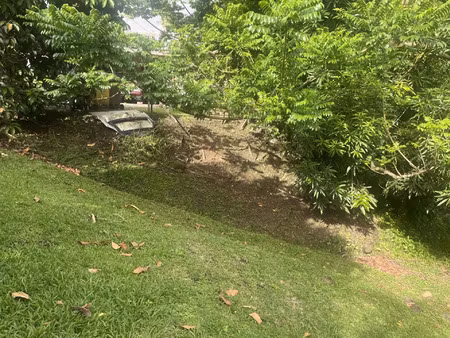 vente terrain 1249 m2 à rivière-salée
