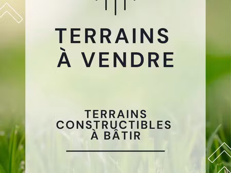 terrain à bâtir à tavers (45190)