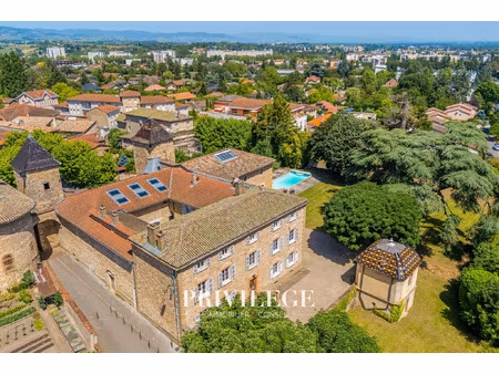 vente maison 18 pièces 1200 m² limas (69400)