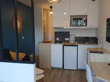 studio 1 pièce 19 m²