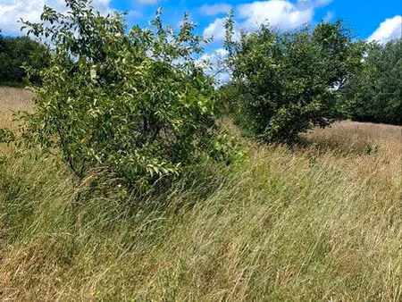 terrain agricole / loisirs / chevaux
