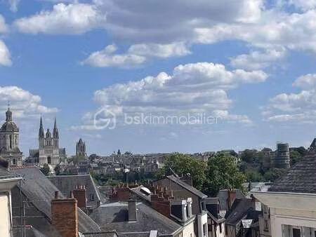 location appartement 3 pièces colocation à angers centre (49000) : à louer 3 pièces coloca