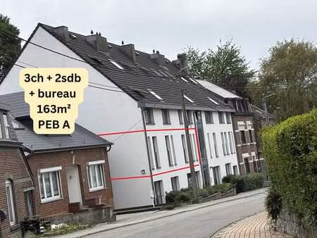 appartement 163m² - 3 chambres + 2 parkings, peb a