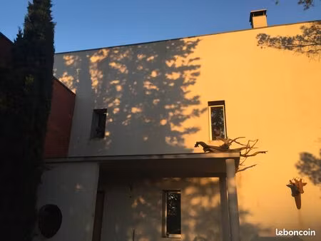 maison avec jardin