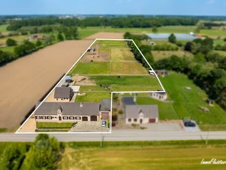 maison à vendre à lier € 850.000 (lp1j2) - immofluisteraar | zimmo
