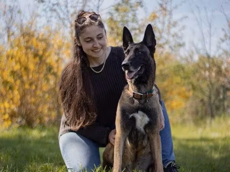 cherche parcelle à louer pour activité canine
