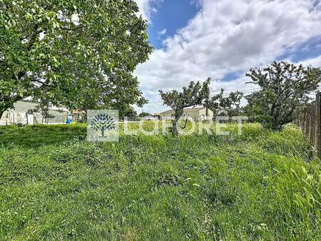 terrain sainte verge 5360 m2