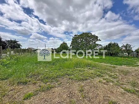 terrain sainte verge