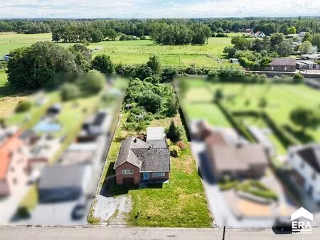 terrain à vendre à schulen € 289.000 (lp16b) - era nobis (herk-de-stad) | zimmo