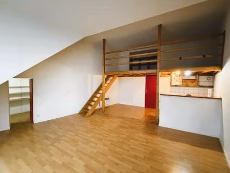 grenoble - 6 rue michelet, studio type loft avec mezzanine de 54m² (surface au sol)