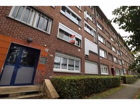 appartement 1 pièce