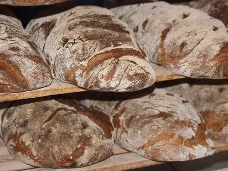 fonds de commerce de boulangerie lyon 2