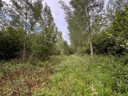 vente terrain 72000 m² valenciennes (59300)