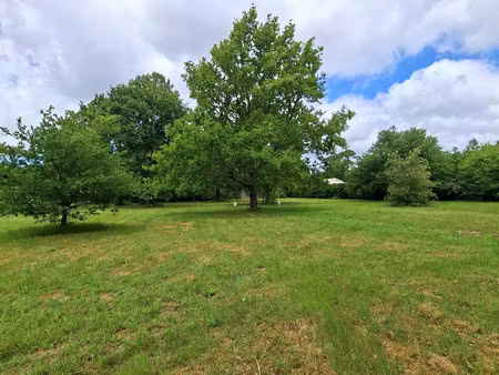 terrain 879 m²