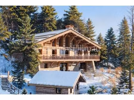 douglas elliman france chamonix