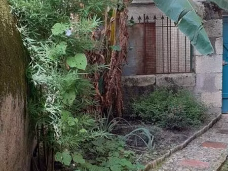 loue t2 meublé rez de chaussée 5 mn à pied fac