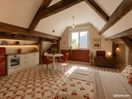 studio 1 pièce 20 m²