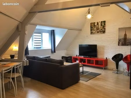spacieux studio rénové centre ville