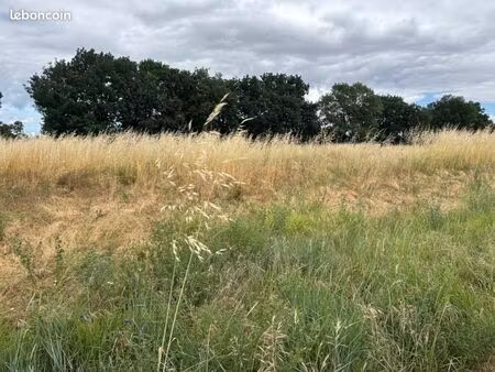 terrain 592 m² montaigut sur save