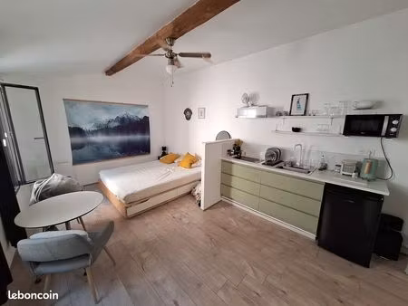 appartement 1 pièce 20 m²