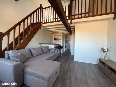 duplex 1 pièce 31 m²