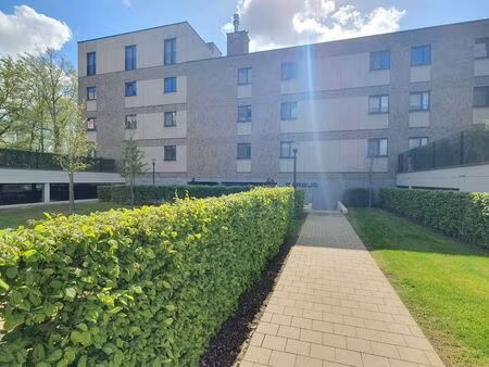 appartement à louer à hasselt € 990 (lp6w5) - dewaele - hasselt verhuur | zimmo