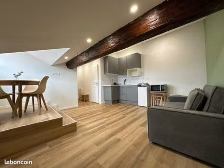 appartement meublé 39m2 lyon 4