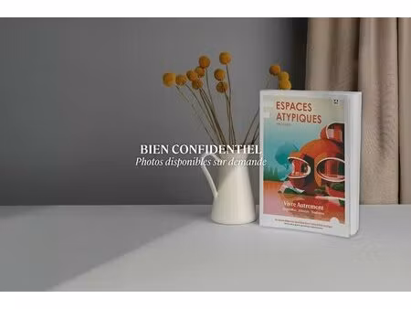 elégant appartement en duplex avec terrasse