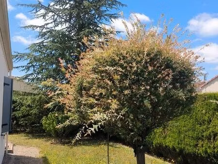 location maison plein pied
