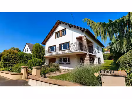 lampertheim maison 247 m² avec jardin sur 8 ares