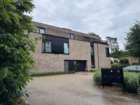 appartement à louer à zutendaal € 900 (lp84w) | zimmo