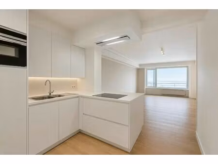 appartement te koop op de zeedijk van duinbergen