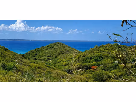vente terrain 2356 m² saint-martin (65360)