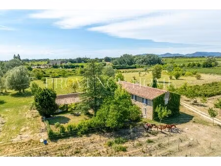 a vendre a mazan, mas de caractère rénové avec maison d'amis, piscine et volumes...