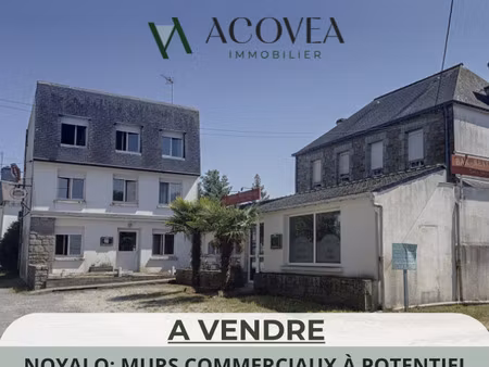 vente immeuble à theix-noyalo (56450) : à vendre / 450m² theix-noyalo