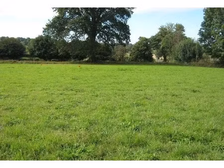 vente terrain 303 m² à airan (14370), 57 000 €
