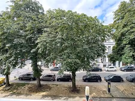 ixelles, saint-boniface, studio meublé