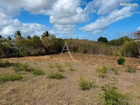 terrain 1000 m² sainte anne