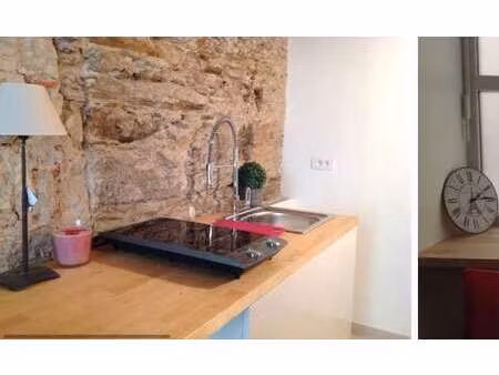 location appartement t1 meublé à nantes centre ville (44000) : à louer t1 meublé / 23m² na