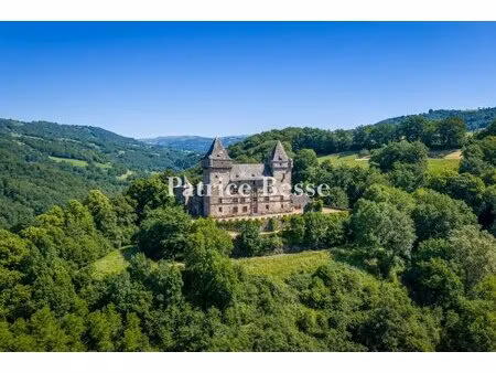 à la frontière du cantal et de l'aveyron, au surplomb de la vallée du goul, un château du.