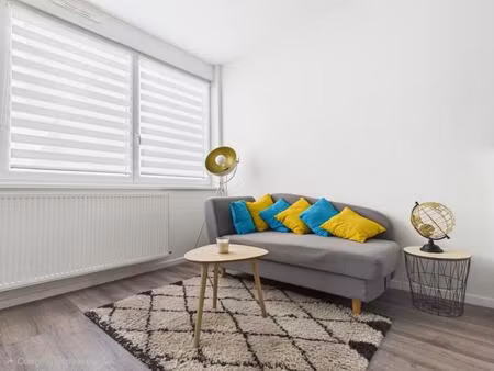 strasbourg centre – t1 de 37 m² rénové, dpe c, faibles charges