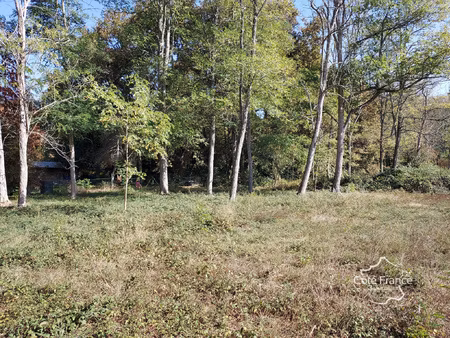 grand terrain constructible