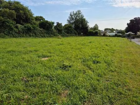 vente terrain à carbay (49420) : à vendre / 780m² carbay