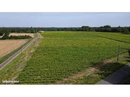 vignes à louer