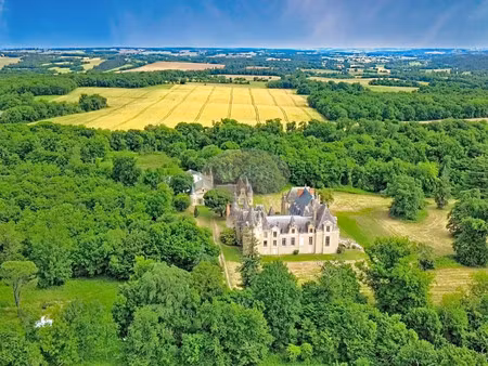 château à vendre à mirande