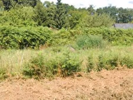 vente terrain à bégard (22140) : à vendre / 1916m² bégard