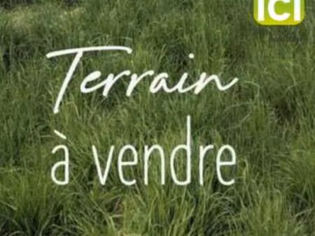 vente terrain à saint-andré-des-eaux (44117) : à vendre / 411m² saint-andré-des-eaux